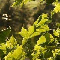 2010.06.23-007.JPG