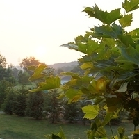 2010.07.05-001.JPG