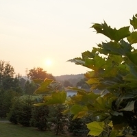 2010.07.05-002.JPG