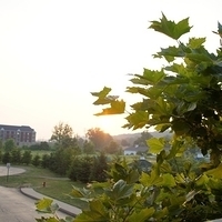 2010.07.05-003.JPG