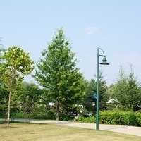 2010.07.07-003.JPG
