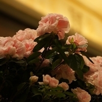 2010.06.15-NYC-1-078.JPG