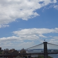 2010.06.17-NYC-3-145.JPG