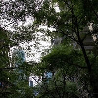 2010.06.17-NYC-3-200.JPG