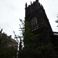 2010.06.17-NYC-3-227.JPG