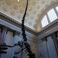 2010.06.18-NYC-4-049.JPG