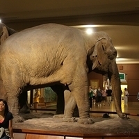2010.06.18-NYC-4-052.JPG
