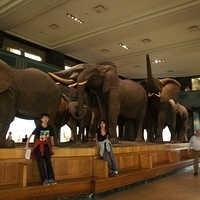 2010.06.18-NYC-4-057.JPG