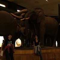 2010.06.18-NYC-4-058.JPG