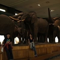 2010.06.18-NYC-4-059.JPG