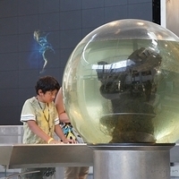 2010.06.18-NYC-4-081.JPG