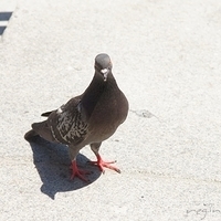 2010.06.18-NYC-4-142.JPG