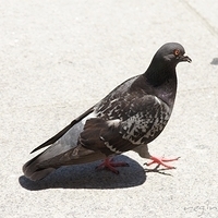 2010.06.18-NYC-4-143.JPG