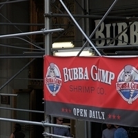 2010.06.18-NYC-4-203.JPG