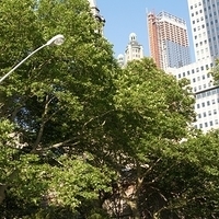 2010.06.18-NYC-4-225.JPG