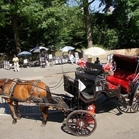 2010.06.20-NYC-5-015.JPG