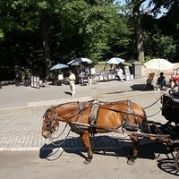 2010.06.20-NYC-5-016.JPG