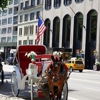 2010.06.20-NYC-5-024.JPG