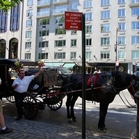 2010.06.20-NYC-5-025.JPG