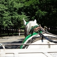 2010.06.20-NYC-5-034.JPG