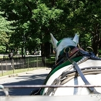 2010.06.20-NYC-5-035.JPG