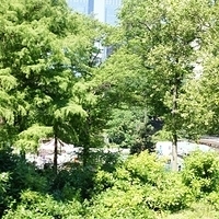 2010.06.20-NYC-5-047.JPG
