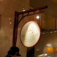 2010.06.20-NYC-5-243.JPG
