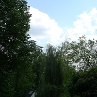 2010.07.21-001.JPG