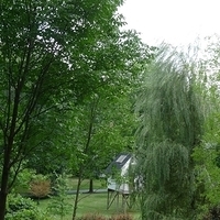 2010.07.21-002.JPG