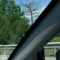 2010.07.21-004.JPG