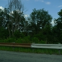 2010.08.01-001.JPG