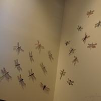 2010.07.02-SSA-022.JPG