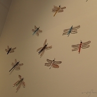 2010.07.02-SSA-023.JPG