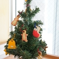 2010.12.25-034.JPG