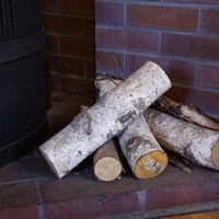 2010.12.21-172.JPG