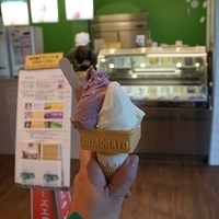 2010.12.22-024.JPG