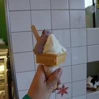 2010.12.22-025.JPG