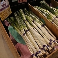 2010.12.22-029.JPG