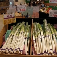 2010.12.22-030.JPG