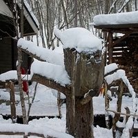 2010.12.21-199.JPG