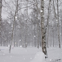 2010.12.23-069.JPG