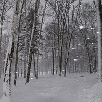 2010.12.23-070.JPG