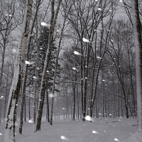 2010.12.23-071.JPG