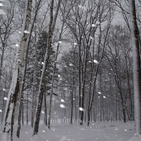 2010.12.23-072.JPG