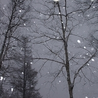 2010.12.23-073.JPG
