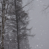 2010.12.23-076.JPG