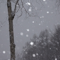 2010.12.23-077.JPG