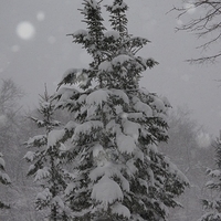 2010.12.23-079.JPG