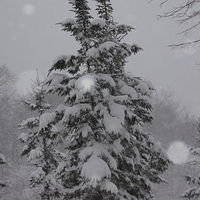 2010.12.23-080.JPG