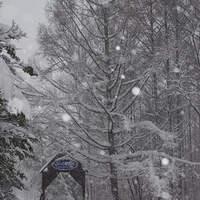 2010.12.23-081.JPG